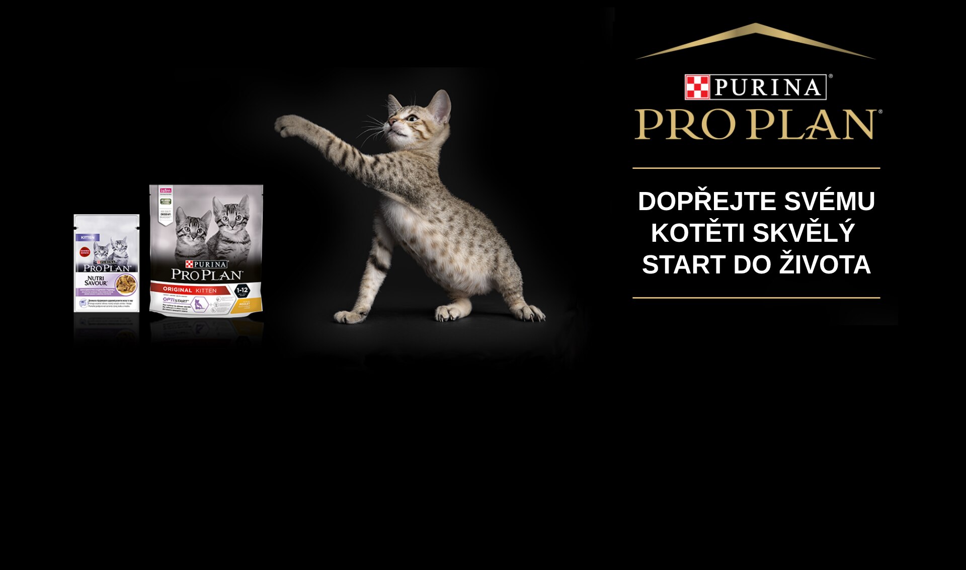 Vzorky krmiva pro kočky a koťata zdarma