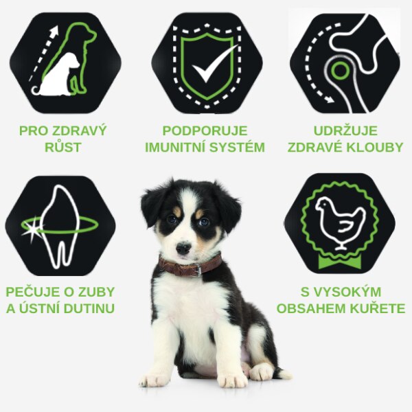 Benefity krmiva pro štěňata